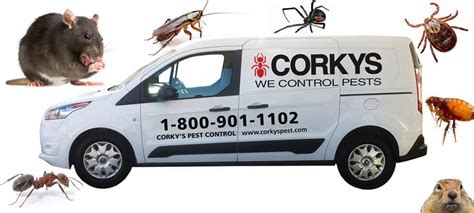 Corky's pest control - Corky's Pest Control Inc. . Termite Control, Bee Control & Removal Service, Pest Control Services. (1) Add Hours. (951) 676-1848 Visit Website Map & Directions 120 S Juanita StHemet, CA 92543 Write a Review.